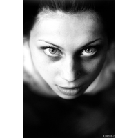 master portrait_53-Z4M1gotd2NJ84D1KDWKklO3nIFfGcifT.jpg